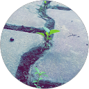 هُدى profile picture